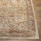 Livabliss Aspendos APS-2317 Machine Crafted Area Rug APS2317-274 - alternate 7